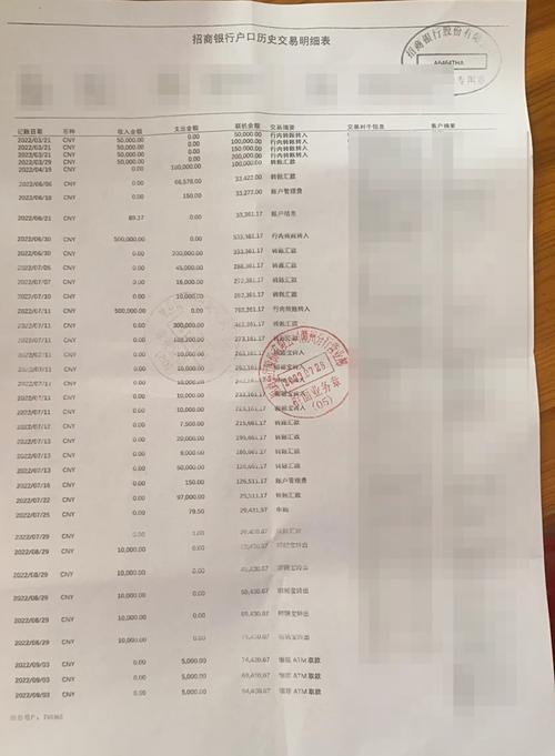 南阳个人流水制作：小白必看的避坑指南